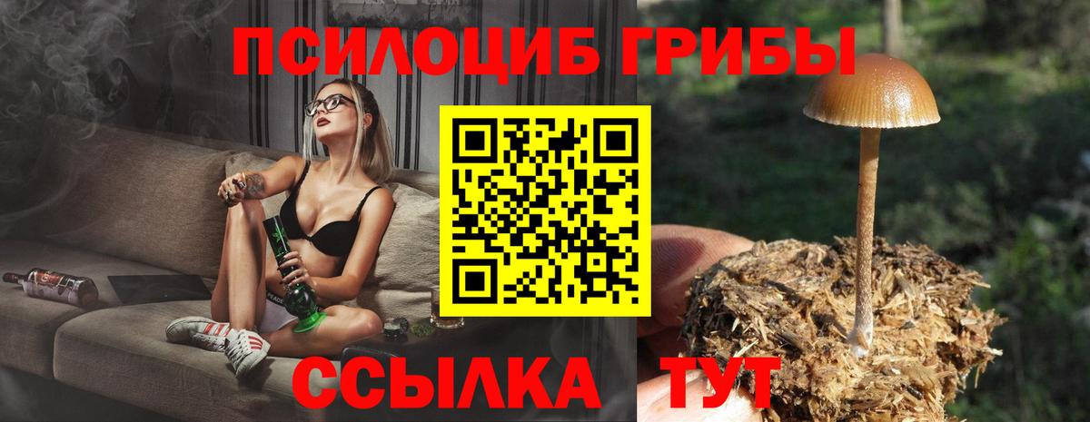 Луховицы  Псилоцибиновые грибы Magic Shrooms  Вход с VPN 